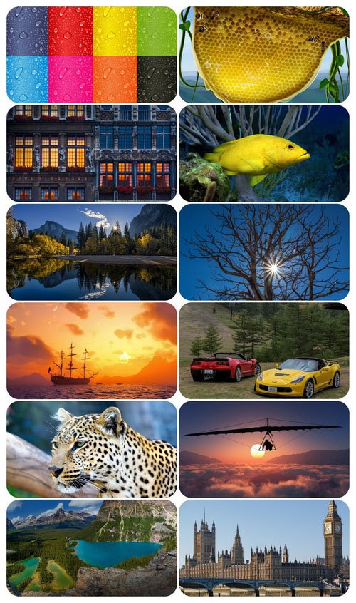 Beautiful Mixed Wallpapers Pack 818