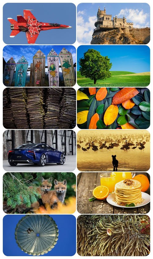 Beautiful Mixed Wallpapers Pack 824